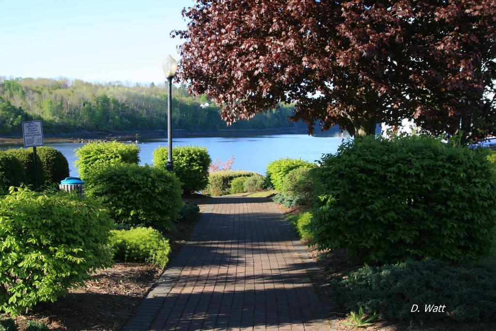 Bucksport Inn Bucksport
